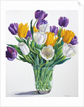 Tulips in Glass Vase, 2015 by Christopher Ryland