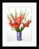 Red and White Gladioli by Christopher Ryland
