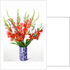 Red and White Gladioli by Christopher Ryland
