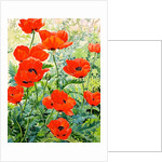 Garden Red Poppies, 2016 by Christopher Ryland