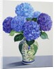 Blue Hydrangeas, 2016 by Christopher Ryland