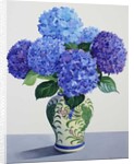 Blue Hydrangeas, 2016 by Christopher Ryland