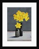 Still Life Daffodils, 2015 by Christopher Ryland