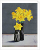 Still Life Daffodils, 2015 by Christopher Ryland