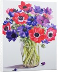 Anemones in a glass jug, 2007 by Christopher Ryland