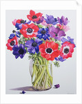 Anemones in a glass jug, 2007 by Christopher Ryland