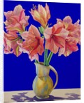 Amaryllis in a jug, 2007 by Christopher Ryland