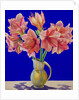 Amaryllis in a jug, 2007 by Christopher Ryland
