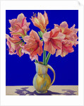 Amaryllis in a jug, 2007 by Christopher Ryland