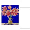 Amaryllis in a jug, 2007 by Christopher Ryland