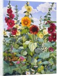 Hollyhocks and Sunflowers, 2003 by Christopher Ryland