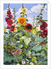Hollyhocks and Sunflowers, 2003 by Christopher Ryland