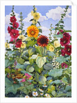 Hollyhocks and Sunflowers, 2003 by Christopher Ryland