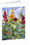 Hollyhocks and Sunflowers, 2003 by Christopher Ryland