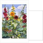 Hollyhocks and Sunflowers, 2003 by Christopher Ryland