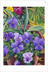 Flowerpots with Pansies, 2007 by Christopher Ryland
