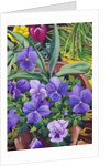 Flowerpots with Pansies, 2007 by Christopher Ryland