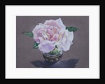 Rose Portrait, 2017 by Christopher Ryland