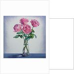 Pink Roses by Christopher Ryland