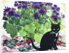 Senetti Plant and Cat, 2018 by Christopher Ryland