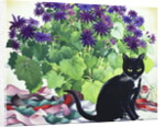 Senetti Plant and Cat, 2018 by Christopher Ryland