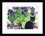Senetti Plant and Cat, 2018 by Christopher Ryland