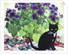Senetti Plant and Cat, 2018 by Christopher Ryland