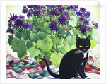 Senetti Plant and Cat, 2018 by Christopher Ryland