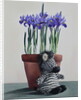 Winter Irises and Zebra, 2018 by Christopher Ryland