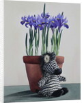 Winter Irises and Zebra, 2018 by Christopher Ryland