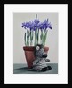 Winter Irises and Zebra, 2018 by Christopher Ryland