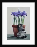 Winter Irises and Zebra, 2018 by Christopher Ryland