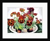 Pansies, 2018 by Christopher Ryland