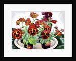 Pansies, 2018 by Christopher Ryland