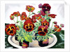 Pansies, 2018 by Christopher Ryland