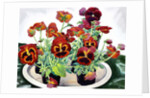 Pansies, 2018 by Christopher Ryland