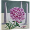 Paeony Still Life, 2018 by Christopher Ryland