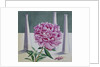 Paeony Still Life, 2018 by Christopher Ryland