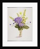 Blue Hydrangea with Yellow Loosestrife by Christopher Ryland