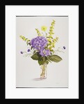Blue Hydrangea with Yellow Loosestrife by Christopher Ryland