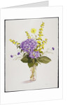 Blue Hydrangea with Yellow Loosestrife by Christopher Ryland