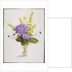 Blue Hydrangea with Yellow Loosestrife by Christopher Ryland