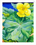 Yellow Begonia, 2019 by Christopher Ryland