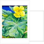 Yellow Begonia, 2019 by Christopher Ryland