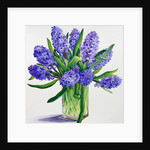 Blue Hyacinths by Christopher Ryland