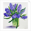 Blue Hyacinths by Christopher Ryland