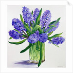 Blue Hyacinths by Christopher Ryland