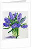 Blue Hyacinths by Christopher Ryland