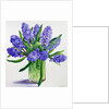 Blue Hyacinths by Christopher Ryland