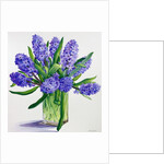Blue Hyacinths by Christopher Ryland